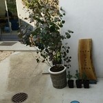 スゥレッド カフェ - 