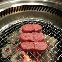 蔓牛 - 