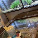 きんぎょcafe 柳楽屋・陽だまり - 