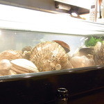 KAKIYA シェル＆シュリンプ - 貝もいろいろ☆♪