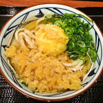 Marugame Seimen - かけ+温泉卵半熟
