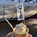 高尾山ビアマウント - とうふアイス