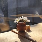 えんがわcafe茶の雫 - 