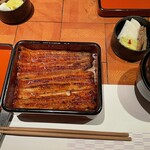 鰻 のぶはら - 