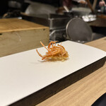 天ぷら 福たろう - 