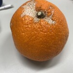 わくわく広場 - 料理写真: