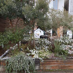 SON CAFE - 