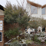 SON CAFE - 