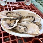Milk Gaki Toyohisa Maru - 焼き牡蠣一皿５個