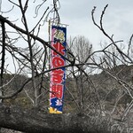 ビッグ・ジョー - 