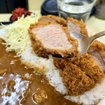 とんかつ檍のカレー屋 いっぺこっぺ - ヒレカツアップ。大きめのカツも嬉しいですね。