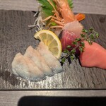 宇田川 紫扇 - 