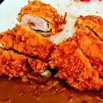 すず春 - ヒレカツカレー