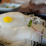 河太郎 - この日はコウイカでした。