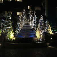 RISTORANTE OZIO - 東京ベイコートクラブのエントランスは、冬のイルミネーションが綺麗です