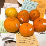 クラッティーニ - 