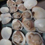 ばんや - 料理写真:焼きハマグリ 中(3,630円)1Kg