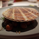 ライラ - 帆立貝の器 下には殻付きのヘーゼルナッツと松の葉が 2015.1.2x