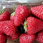 わくわく広場 - 料理写真: