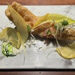 TACUBO - 