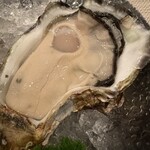 OysterBar OISSU