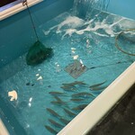 鬼が島 - 