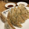 名古屋餃子製作所 - 