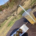 ながめや - ドリンク写真: