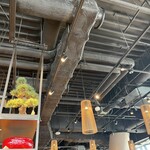 Tsurutontan Udon Noodle Brasserie Ginza - 