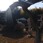 さと山 - 