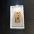 おみ乃 - その他写真: