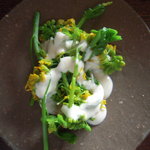 春を呼ぶ「菜の花」