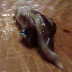 小柳寿司 - 鳥貝　殻付きの鳥貝です