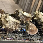 海鮮濱燒酒場 Yaichattei - 