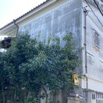 なが餅 笹井屋 - 本店