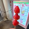 STRAWBERRY MANIA