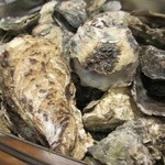 Oyster Bar ジャックポット - 