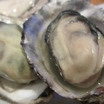 Oyster Bar ジャックポット - 