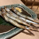 炭と海鮮と串焼きと肴 とっとっと - 