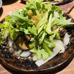 炭火燒鳥與一口餃子 TORA鶏YA 難波千日前店