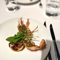 THE COSMOPOLITAN GRILL BAR TERRACE - 