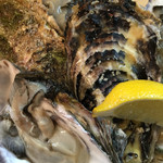 わだつみ - 2014/12