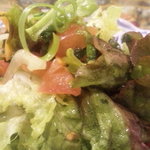 アルミーナ - サラダ　アップ