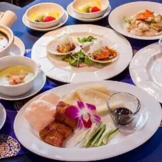 【歓送迎会】彩華（サイカ）コース飲み放題付8,000円
