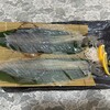 御宿 海舟 - いか活造り