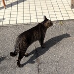 華壱 - 