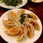 春夏冬 - 焼餃子