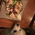 モンスーンカフェ - 