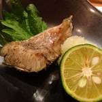 割烹 縮 - カンパチのハラス焼