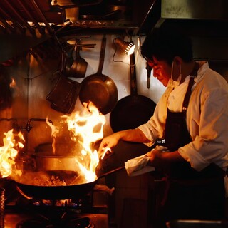 ブラチェリア バーヴァ_2